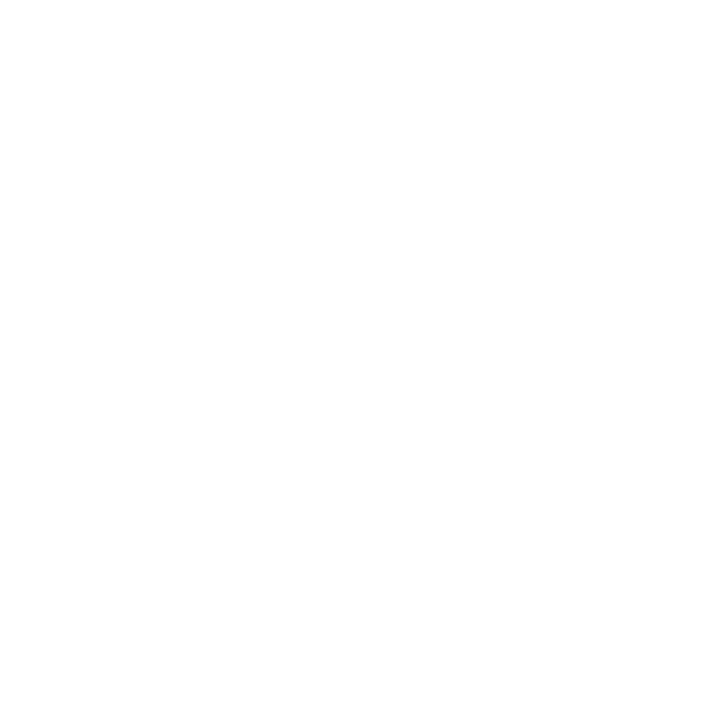 PYE Logo white graphic